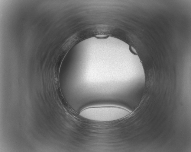 X0000080660140200612150745