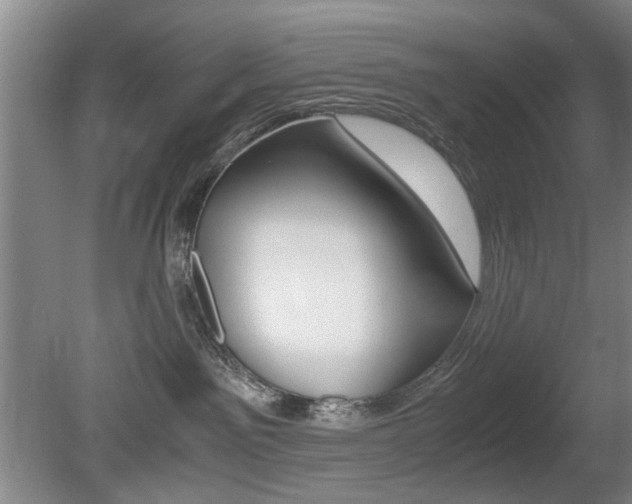 X0000080660141200612150745
