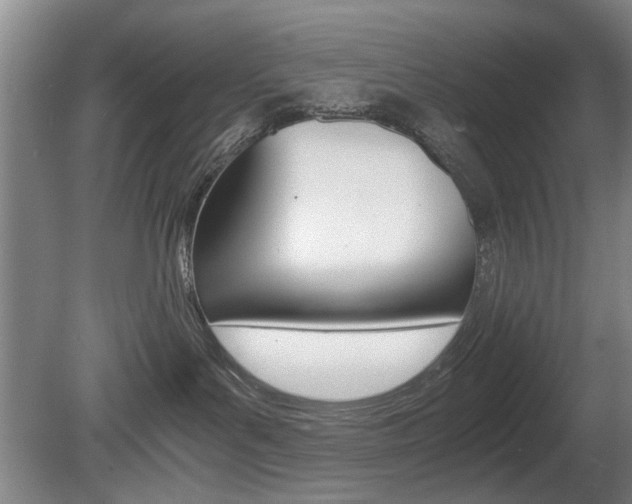 X0000080660143200612150745