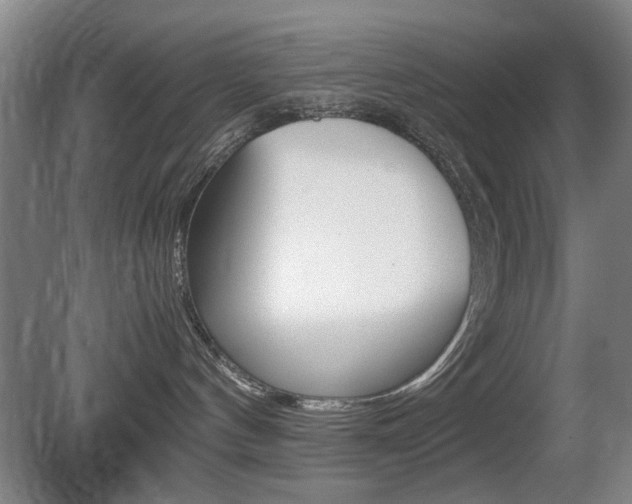 X0000080660144200612150745