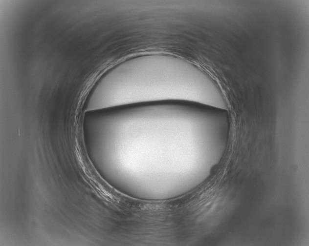 X0000080660145200612150744