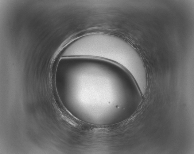 X0000080660150200612150744