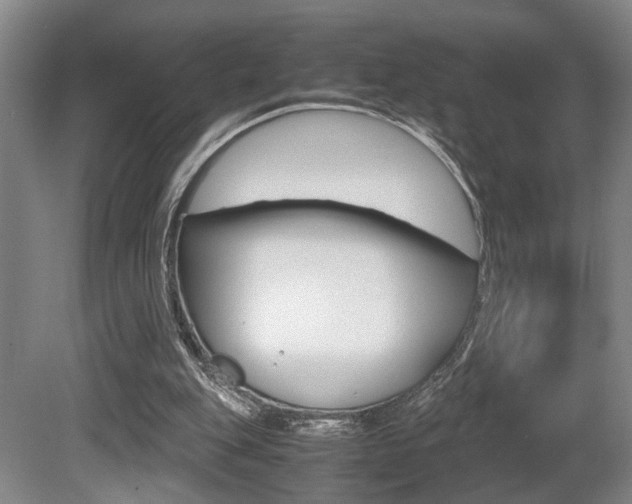 X0000080660151200612150744