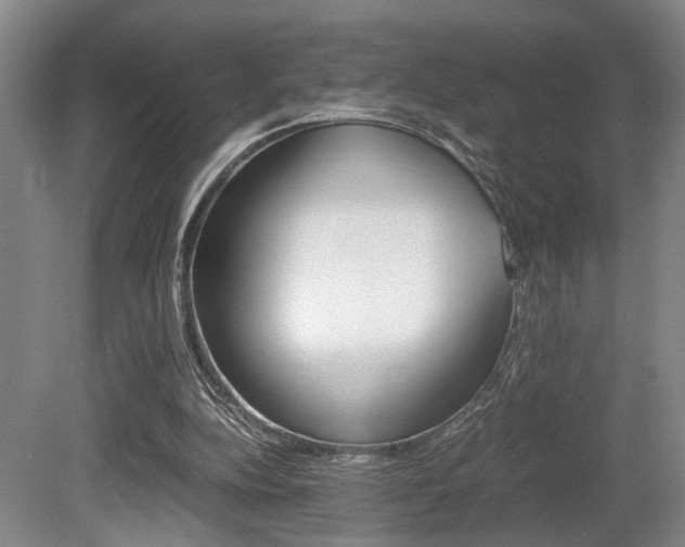 X0000080660152200612150744