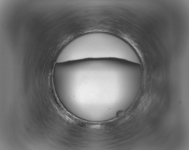 X0000080660153200612150744