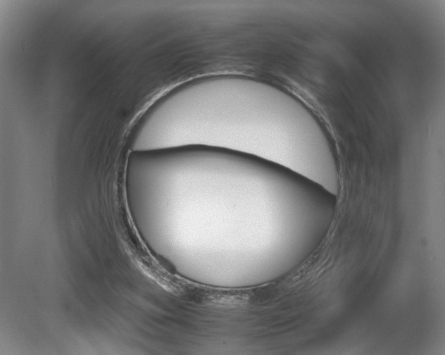 X0000080660155200612150744