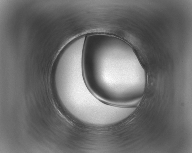 X0000080660156200612150744