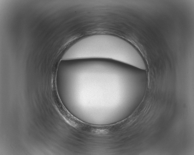 X0000080660157200612150744