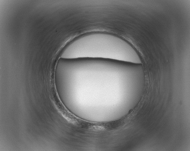 X0000080660159200612150744