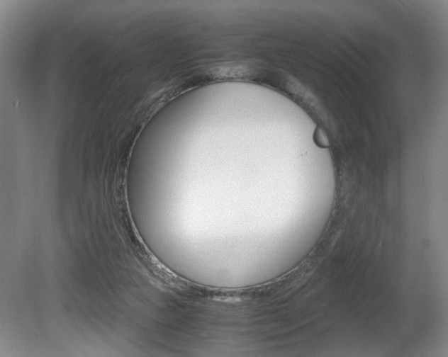 X0000080660161200612150744