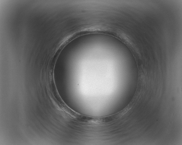 X0000080660164200612150744