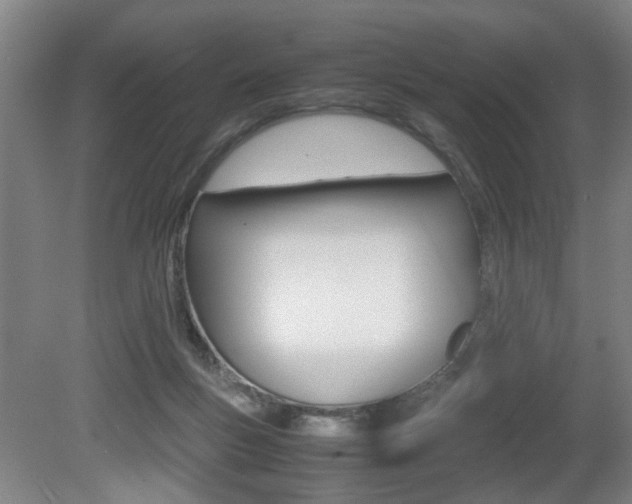 X0000080660167200612150745