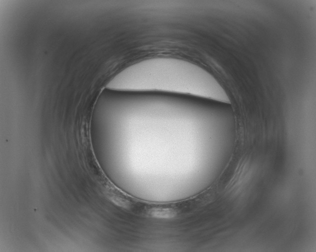 X0000080660169200612150745