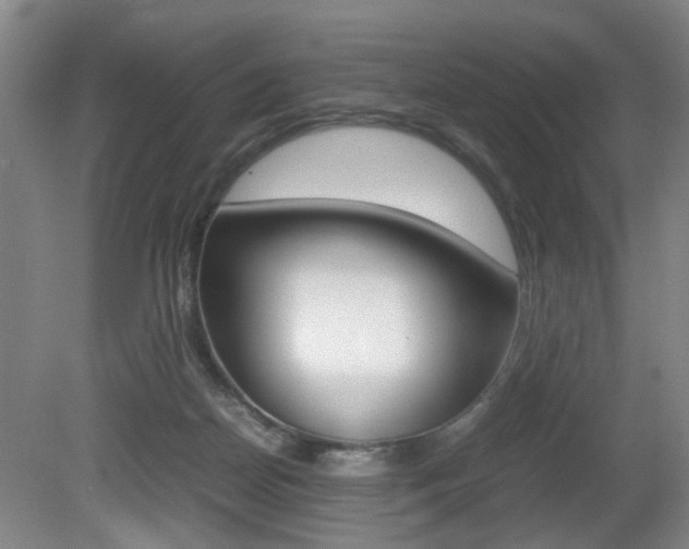 X0000080660170200612150745