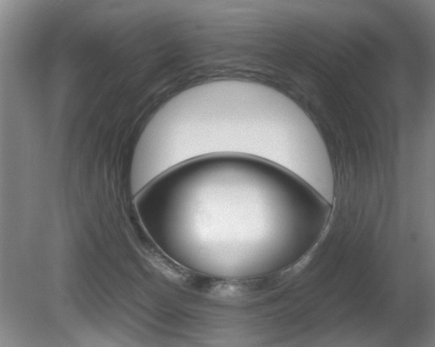 X0000080660174200612150745