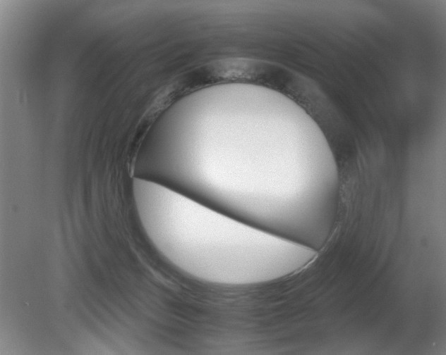 X0000080660175200612150745