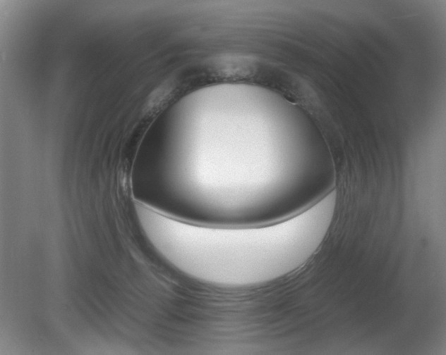 X0000080660176200612150745