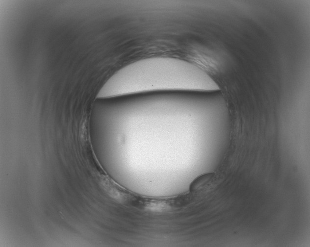 X0000080660177200612150745
