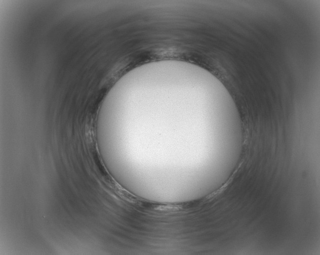X0000080660179200612150745
