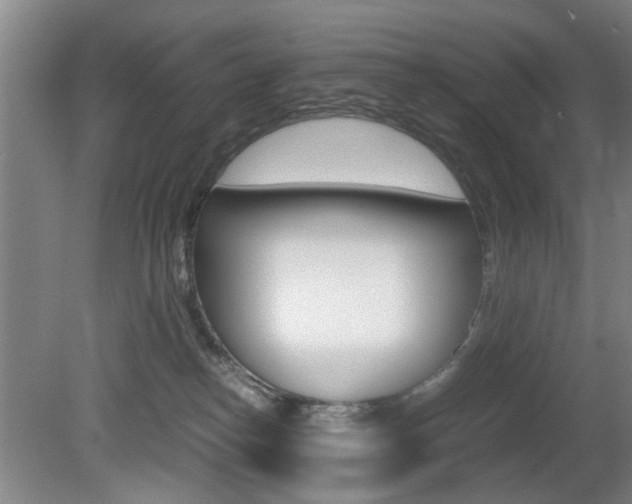X0000080660182200612150745