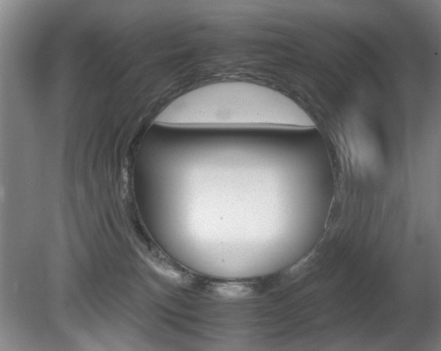 X0000080660183200612150745