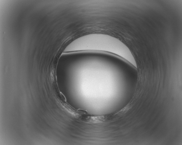 X0000080660188200612150745