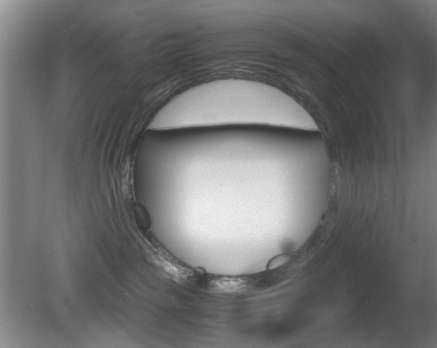 X0000080660189200612150745