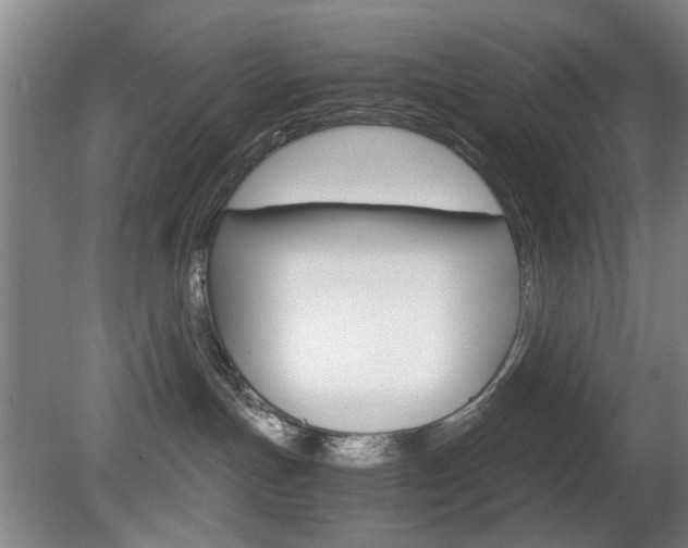 X0000080660191200612150745