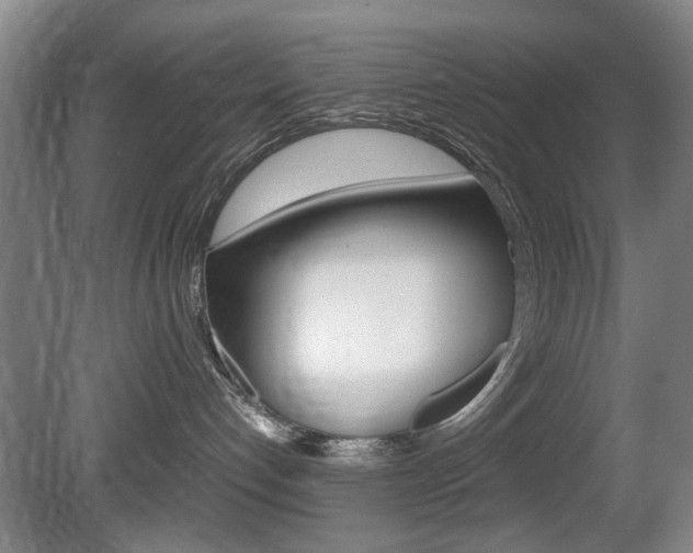 X0000080660192200612150745