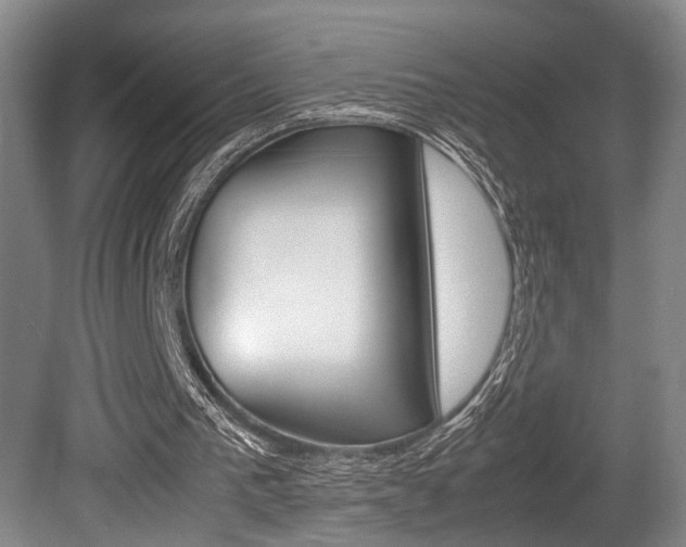 X0000080660193200612150744