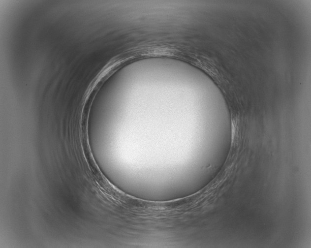 X0000080660195200612150744