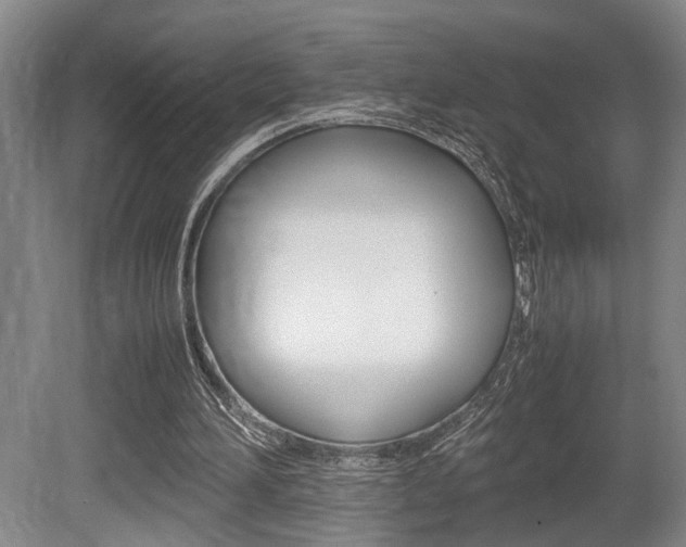 X0000080660196200612150744