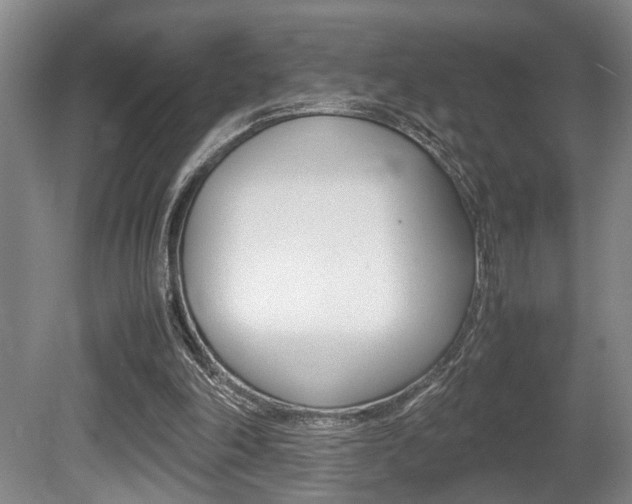 X0000080660198200612150744