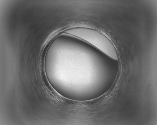 X0000080660199200612150744