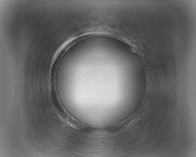X0000080660200200612150744