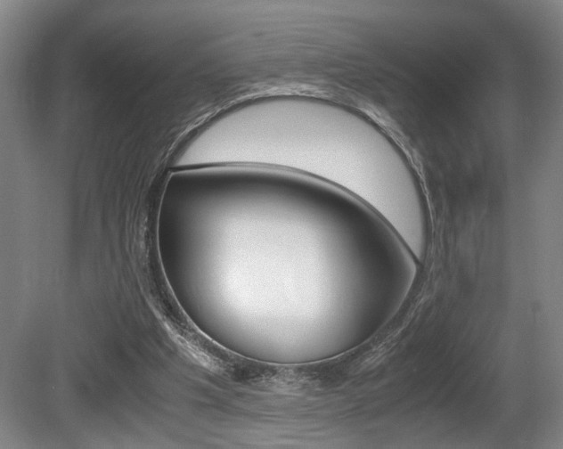 X0000080660201200612150744
