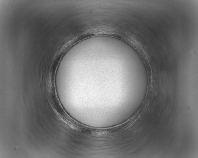 X0000080660202200612150744