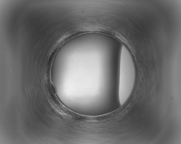 X0000080660203200612150744