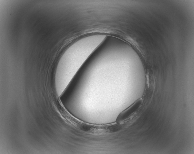 X0000080660205200612150744