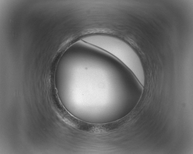 X0000080660207200612150744