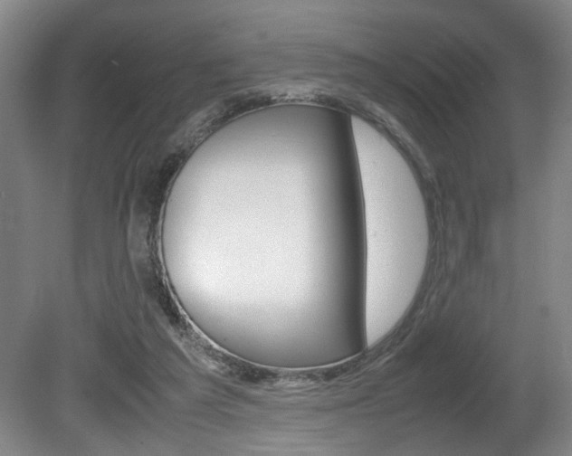 X0000080660209200612150744
