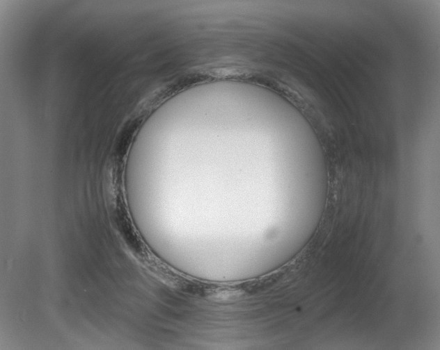 X0000080660210200612150744