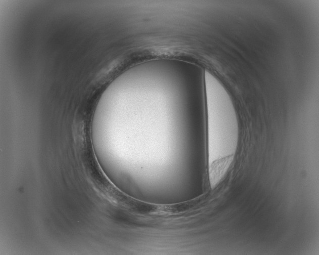 X0000080660211200612150744