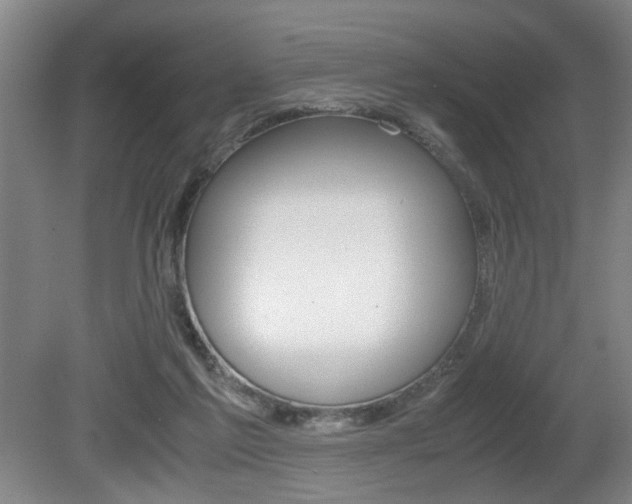 X0000080660213200612150744