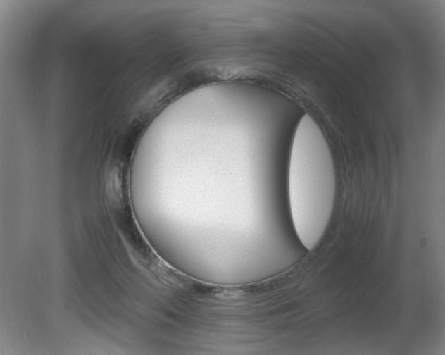 X0000080660214200612150744