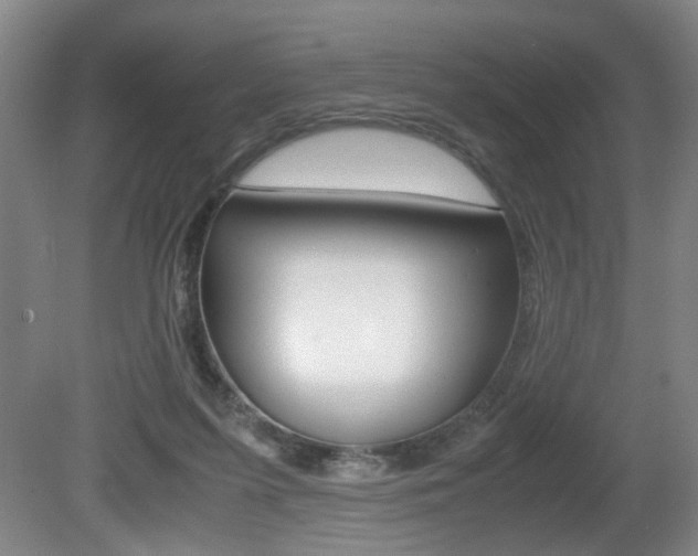 X0000080660215200612150744