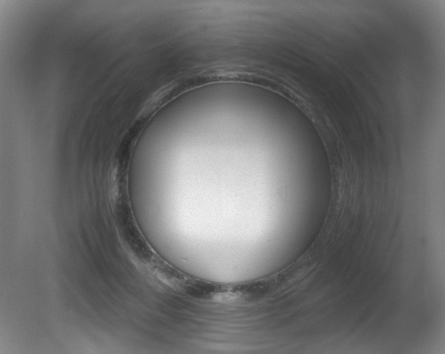 X0000080660216200612150744