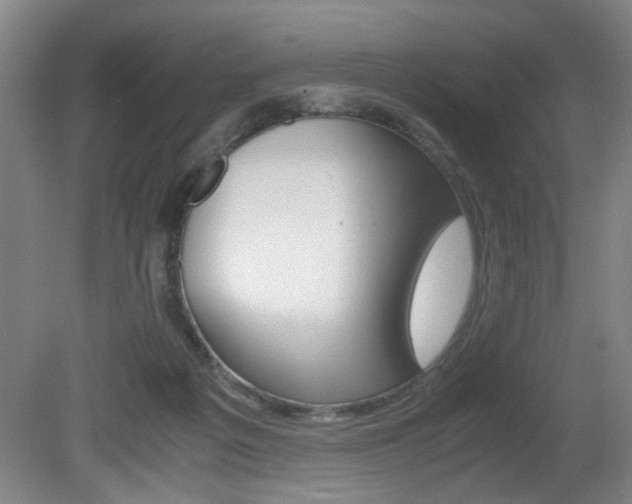X0000080660217200612150744