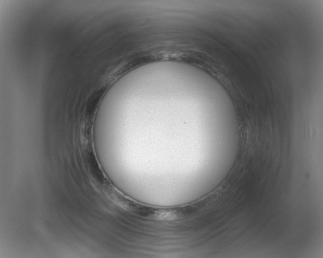 X0000080660218200612150744