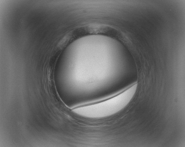 X0000080660219200612150744